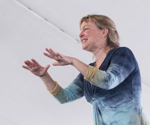 Diane Edgecomb in performance at the National Storytelling Festival